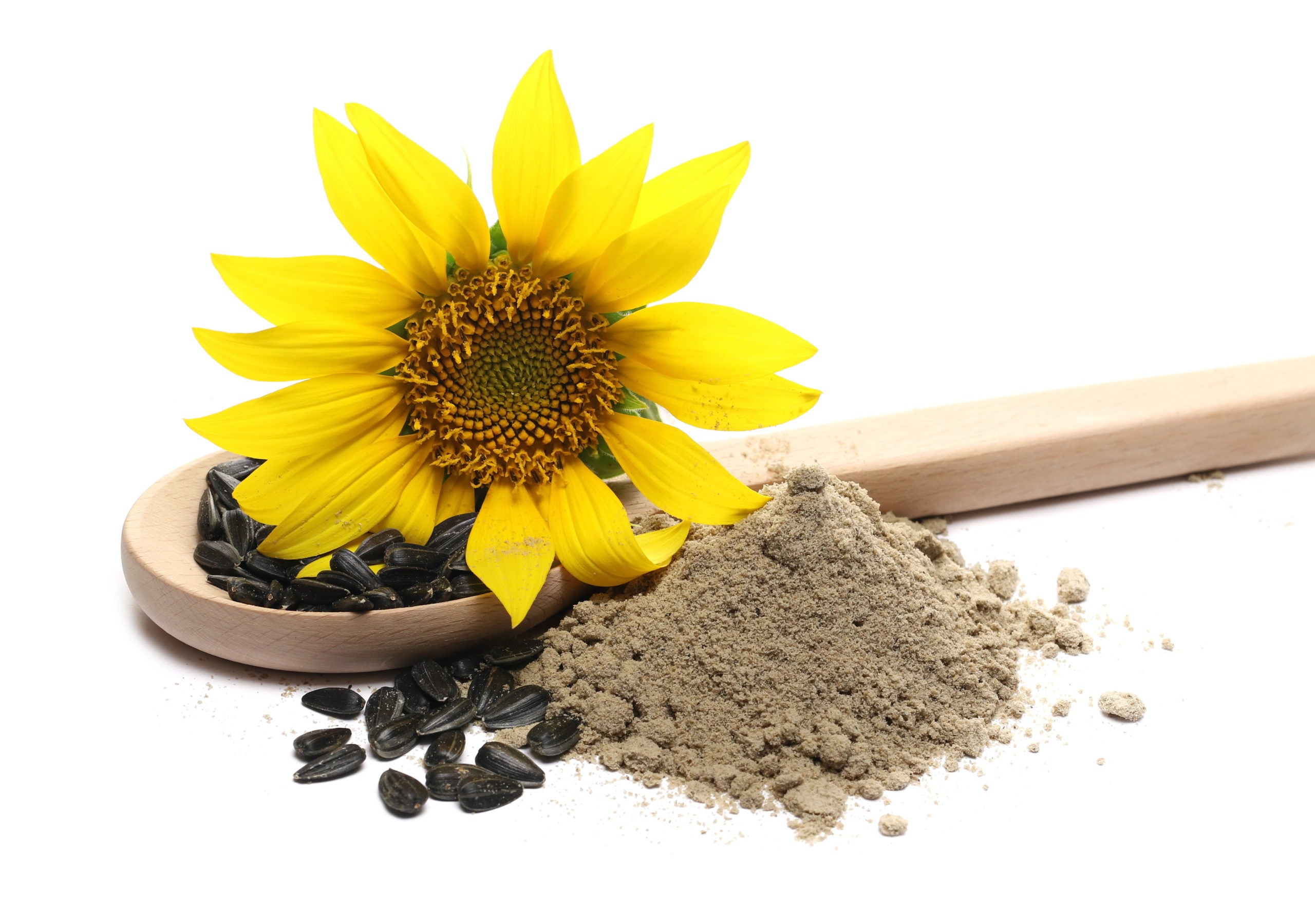 Sunflower Lecithin Enhancement Matrix