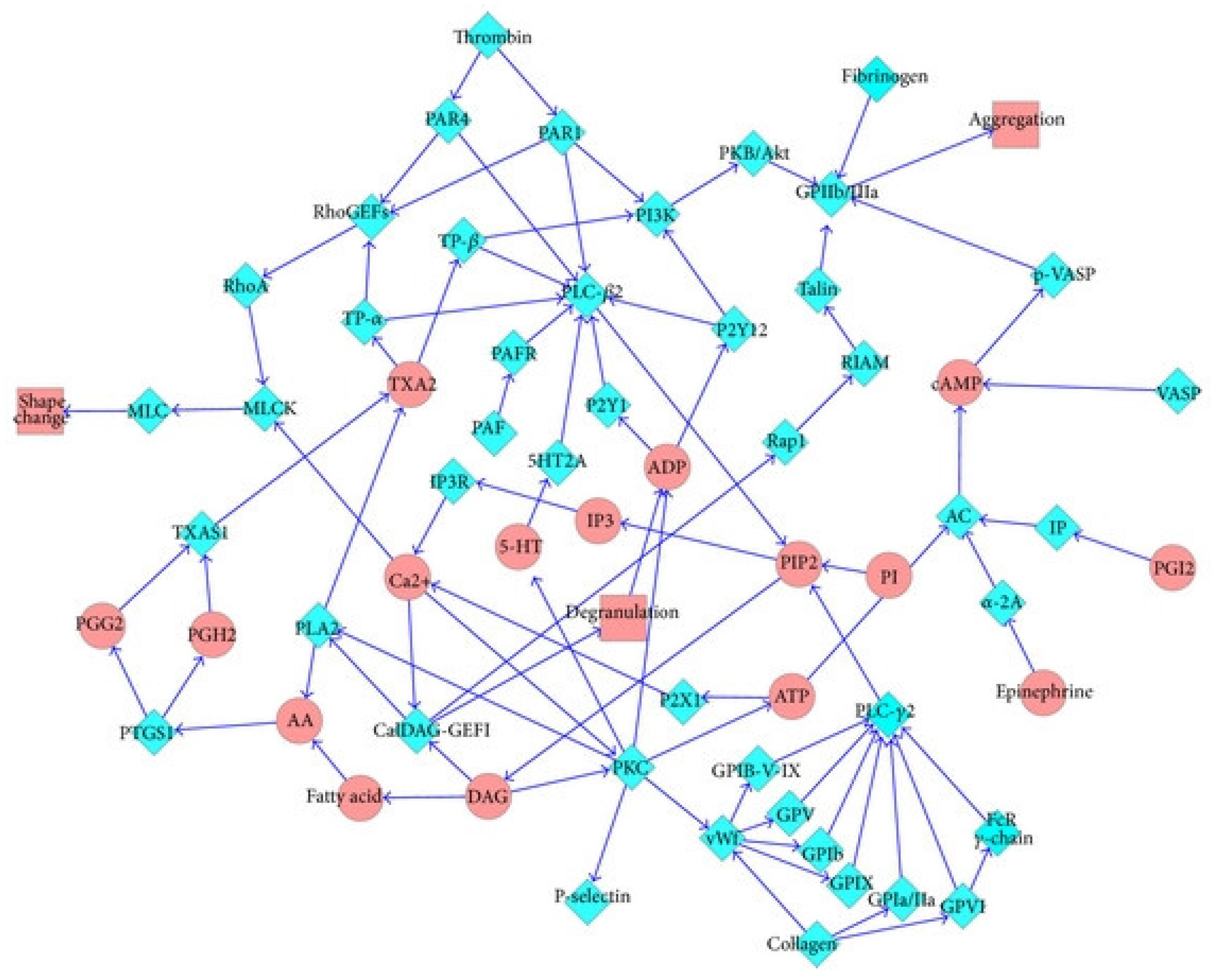 Synergistic pathway network diagram
